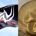 Former WWE star is selling her breast implant