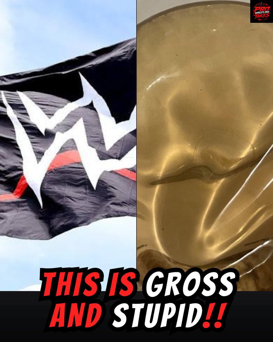 A former WWE star is selling her breast implants and it's GROSS and STUPID!!! Full…